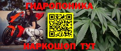прущая мука Донской