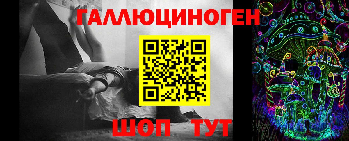 Псилоцибиновые грибы Psilocybe Мценск