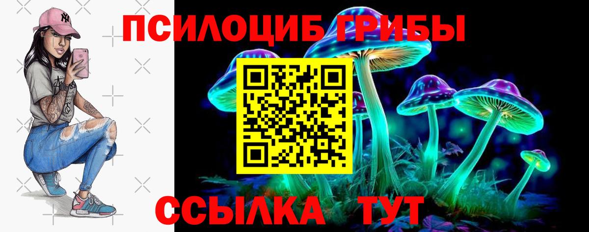 цена   Вход с VPN  Мценск  Галлюциногенные грибы мицелий 